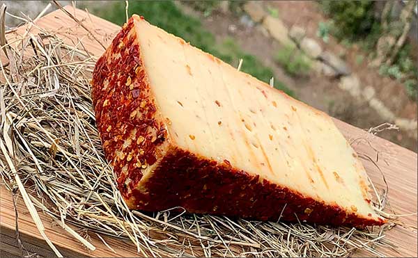 feurig-roter-chilikaese